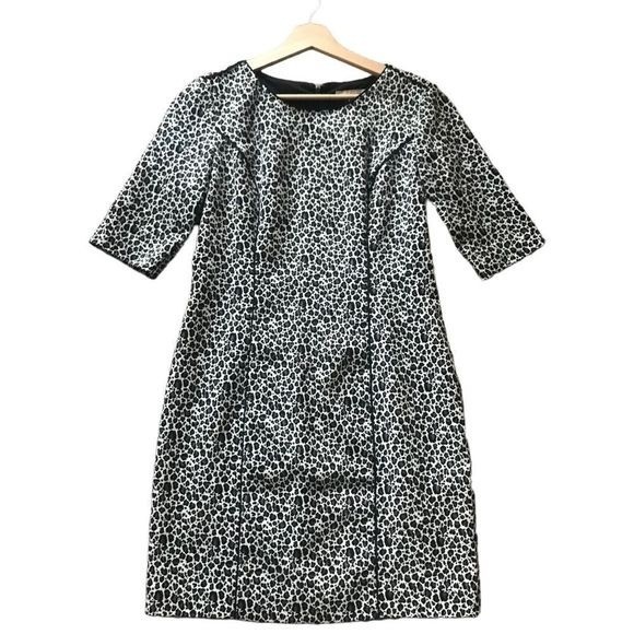 BANANA REPUBLIC Dress Elbow Length Sleeves Zip Back Leopard Print Size 6P - Picture 1 of 7